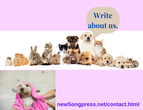 Kid-friendly Ideas for Writing About Pets